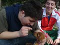 come addestrare un cane