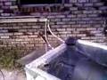 Homemade Solar Hot Water Heater One of the Easiest Home Renewable Energy Systems You Could Make? default Homemade Solar Hot Water Heater One of the Easiest Home Renewable Energy Systems You Could Make?