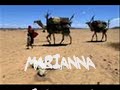 contaminacion del agua