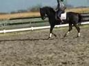 Tango wissel