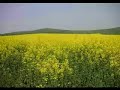 this is one of my compositions 'summerbreeze' taken from one of my albums 'elements' published by diviniti publishing kent.