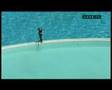 world largest swimming pool