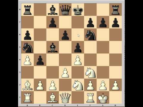 magnus carlsen