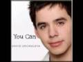 videos de David Archuleta-You Can (with lyrics)