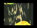 bande annonce du fish & clips festival
