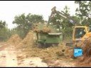 A microscopic worm attacks forests in Portugal A microscopic worm attacks forests in Portugal