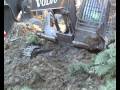 Volvo digger and Skidder stuck / bogged side by side