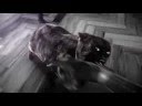 OCB Black Thinking TV #2 Scratch Me