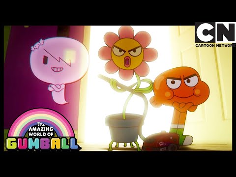  Séance | The Flower | Gumball | Cartoon Network