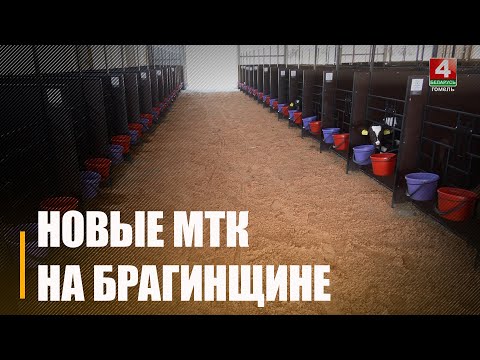 На Брагинщине за один день открыли сразу две фермы видео