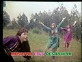 Peshawari - Pashto song