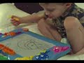 Ammonite Artist