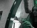 Como Poden on Celtic harp