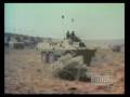 Ratel Infantry Fighting Vehicle