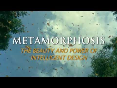 Metemorphosis