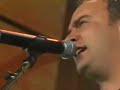 Dave Matthews - None of Us Are Free (WSP)