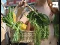Activistas vestidas con hojas de lechuga celebran Día Sin Carne.