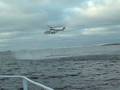 SAR training