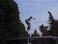 fox-on-trampoline.html