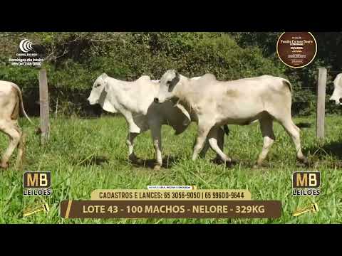 11� LEIL�O FAM�LIA LUCIANO DUARTE E CONVIDADOS