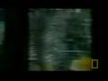 videos de NG zomcr (2/5)