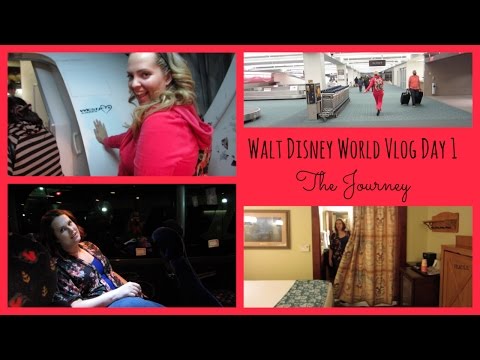 how to do disney world in one day
