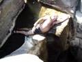 Uomo grasso blocca un torrente