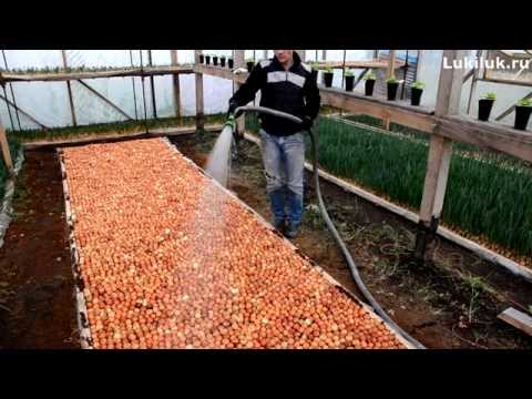 Интернет-магазин Vilena - Главная Заклятие (2013) смотреть онлайн фильм бесплатно