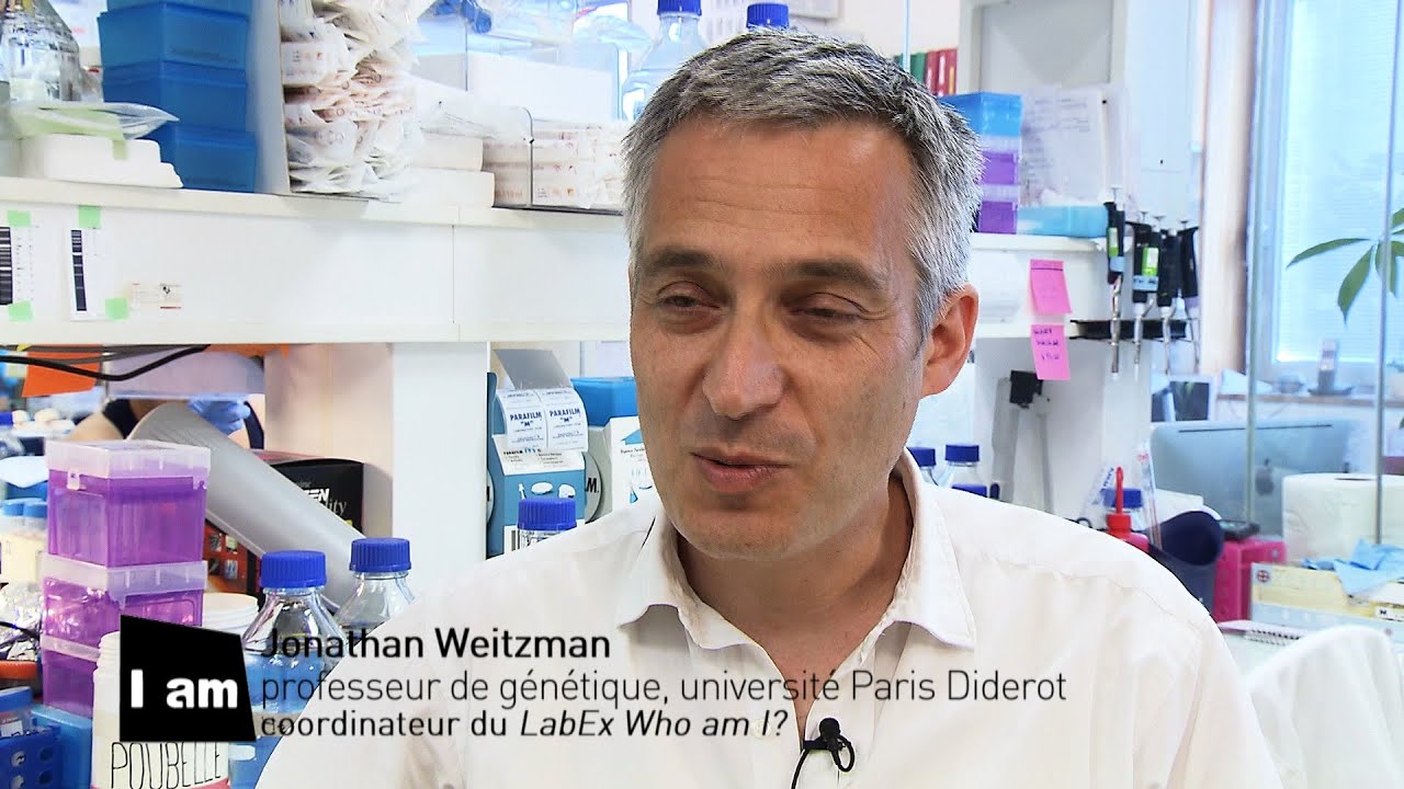 rencontres doctorales paris diderot