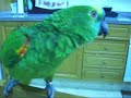 Nikita cantando