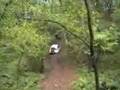 Toyota Tercel & Susuki Santana 4X4 #4