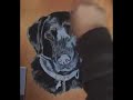 Dog Portrait in Pastel