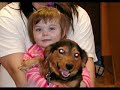 Adopt a pet Adopt a pet