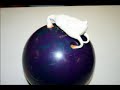 Chicken goes bowling