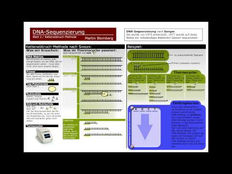 how to perform rflp pcr