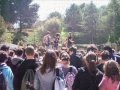 videos de settimana della cultura                   polizzi