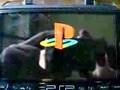 Emulador PSX cargando en 3.02 OE-A