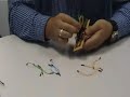 Hexapod robot