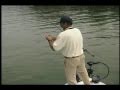Spots with Plastic Fluke 1