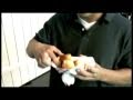 Tran and Dan's Fried ButterBall Experience ...