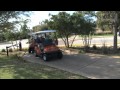 University of Texas Men's Golf Team