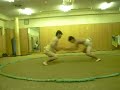 sumo wrestling sumo wrestling