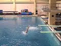 Indiana Diving: Forward Vols and Ops Lesson
