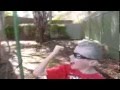 Basketball Kid
