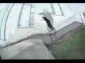 Seba Team Russia - Grisha Mihalitsyn