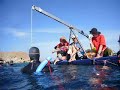 CNF New world record -83m by Herbert Nitsch in Dahab CNF New world record -83m by Herbert Nitsch in Dahab
