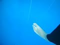 CNF New world record -83m by Herbert Nitsch in Dahab CNF New world record -83m by Herbert Nitsch in Dahab
