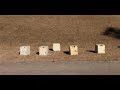 germans - "i am the teacher" video - stop motion animation