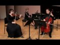 The Merling Trio performs Haydn: Piano Trio in G Major Gypsy III Finale