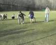 Campamento El Molino 2007